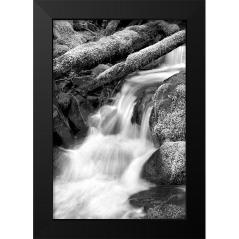Trailside Waterfall III BW Black Modern Wood Framed Art Print by Taylor, Douglas