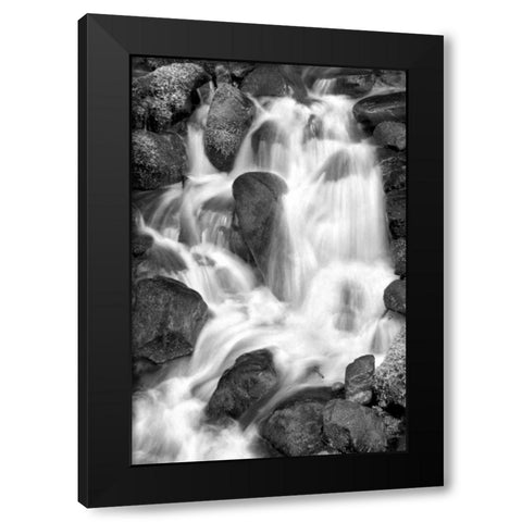 Trailside Waterfall IV BW Black Modern Wood Framed Art Print by Taylor, Douglas