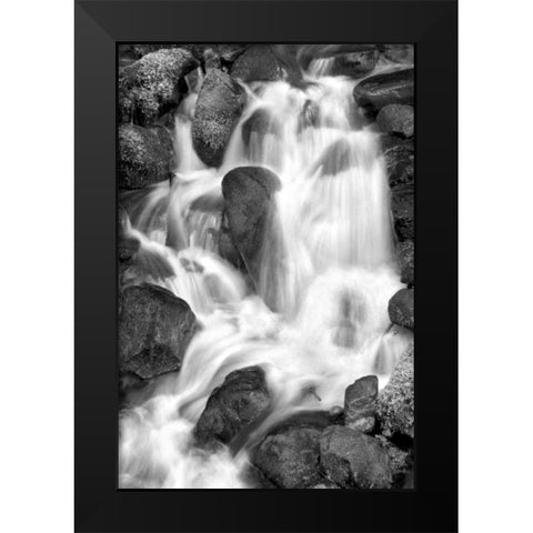 Trailside Waterfall IV BW Black Modern Wood Framed Art Print by Taylor, Douglas