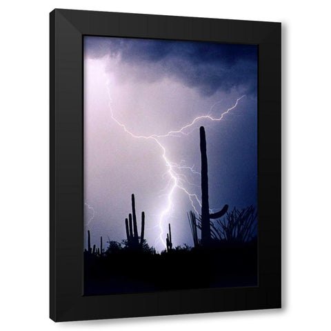 Hot August Night Black Modern Wood Framed Art Print with Double Matting by Taylor, Douglas
