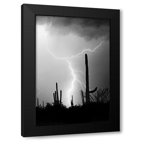 Hot August Night BW Black Modern Wood Framed Art Print by Taylor, Douglas