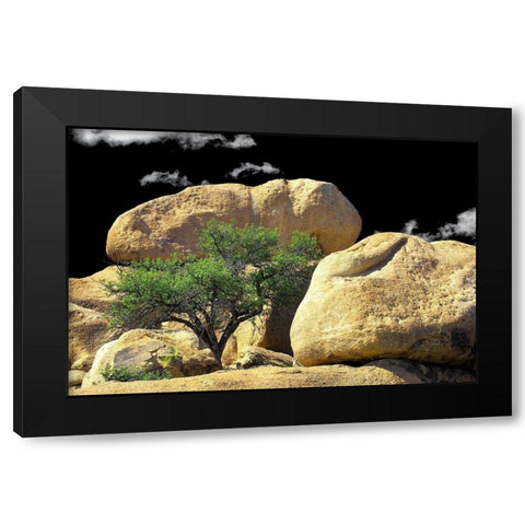 Texas Canyon Rox and Rolls Black Modern Wood Framed Art Print by Taylor, Douglas