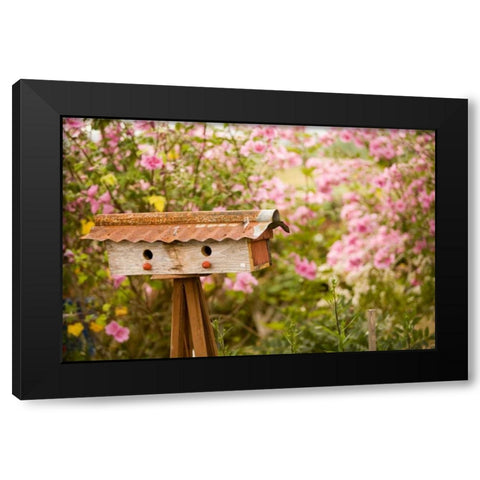 Bird House I Black Modern Wood Framed Art Print with Double Matting by Clayton-Thompson, Philip