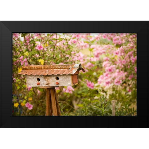 Bird House I Black Modern Wood Framed Art Print by Clayton-Thompson, Philip