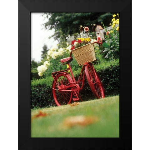 Vintage Bicycle II Black Modern Wood Framed Art Print by Clayton-Thompson, Philip