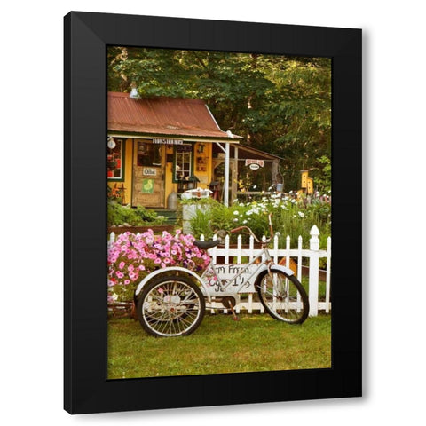 Vintage Bicycle III Black Modern Wood Framed Art Print with Double Matting by Clayton-Thompson, Philip