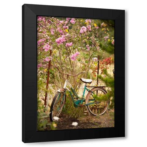 Vintage Bicycle IV Black Modern Wood Framed Art Print with Double Matting by Clayton-Thompson, Philip