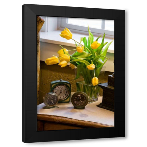 Yellow Tulips I Black Modern Wood Framed Art Print with Double Matting by Clayton-Thompson, Philip