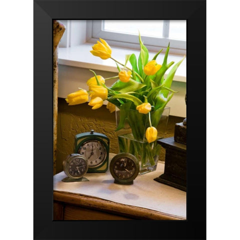 Yellow Tulips I Black Modern Wood Framed Art Print by Clayton-Thompson, Philip