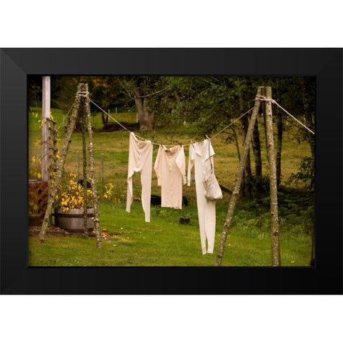 Out to Dry I Black Modern Wood Framed Art Print by Clayton-Thompson, Philip