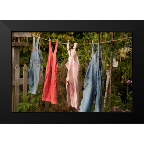 Out to Dry II Black Modern Wood Framed Art Print by Clayton-Thompson, Philip