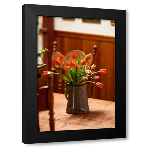 Fresh Tulips I Black Modern Wood Framed Art Print with Double Matting by Clayton-Thompson, Philip