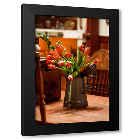 Fresh Tulips II Black Modern Wood Framed Art Print with Double Matting by Clayton-Thompson, Philip
