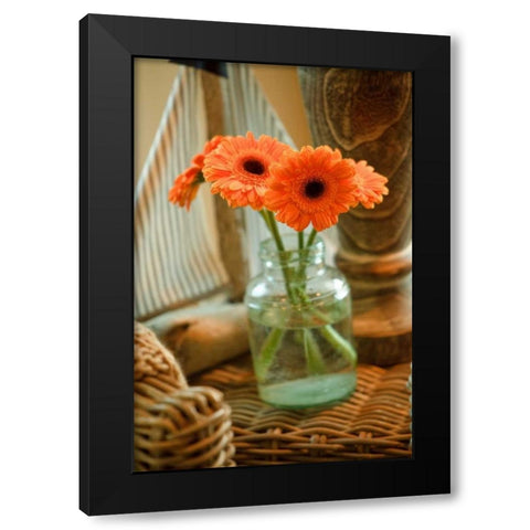 Fresh Picked I Black Modern Wood Framed Art Print with Double Matting by Clayton-Thompson, Philip