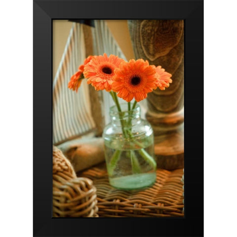 Fresh Picked I Black Modern Wood Framed Art Print by Clayton-Thompson, Philip