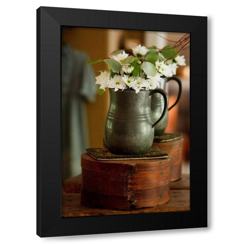 Daisy Bouquet I Black Modern Wood Framed Art Print with Double Matting by Clayton-Thompson, Philip