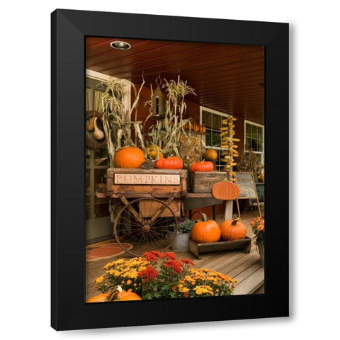 Autumn Harvest I Black Modern Wood Framed Art Print with Double Matting by Clayton-Thompson, Philip