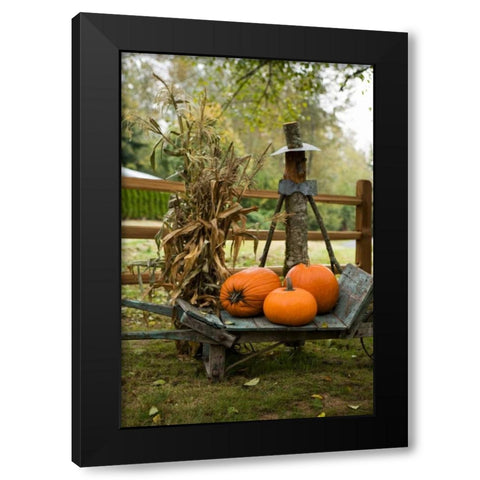 Autumn Harvest II Black Modern Wood Framed Art Print with Double Matting by Clayton-Thompson, Philip