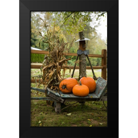 Autumn Harvest II Black Modern Wood Framed Art Print by Clayton-Thompson, Philip