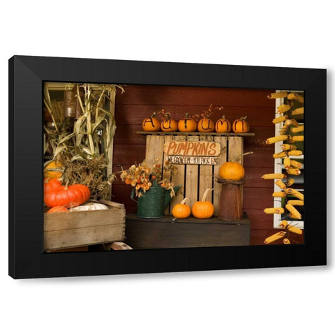 Autumn Harvest III Black Modern Wood Framed Art Print with Double Matting by Clayton-Thompson, Philip