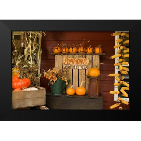 Autumn Harvest III Black Modern Wood Framed Art Print by Clayton-Thompson, Philip