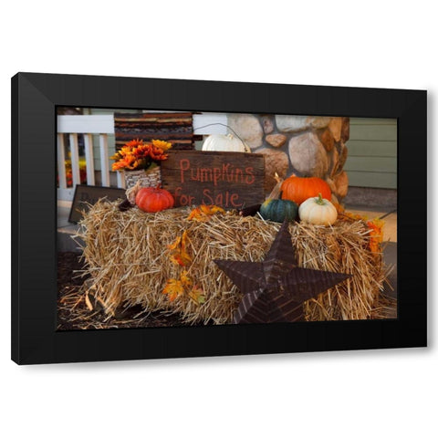Autumn Harvest IV Black Modern Wood Framed Art Print with Double Matting by Clayton-Thompson, Philip