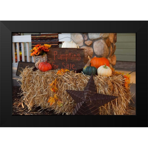 Autumn Harvest IV Black Modern Wood Framed Art Print by Clayton-Thompson, Philip