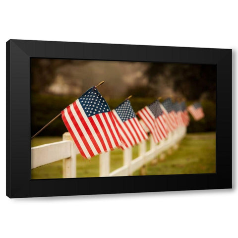Flags I Black Modern Wood Framed Art Print by Clayton-Thompson, Philip