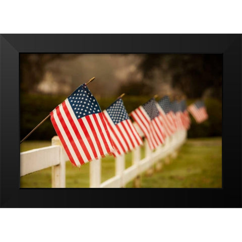 Flags I Black Modern Wood Framed Art Print by Clayton-Thompson, Philip