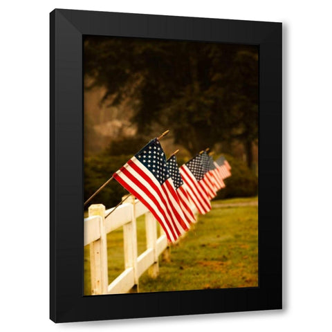 Flags II Black Modern Wood Framed Art Print by Clayton-Thompson, Philip