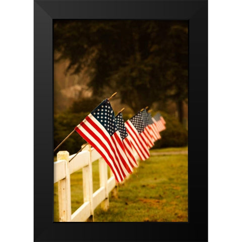 Flags II Black Modern Wood Framed Art Print by Clayton-Thompson, Philip