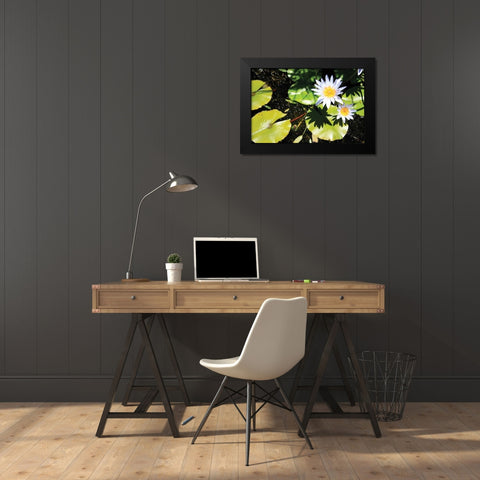 Blue Water Lily II Black Modern Wood Framed Art Print by Underdahl, Dana