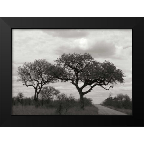 Tree II Black Modern Wood Framed Art Print by Underdahl, Dana