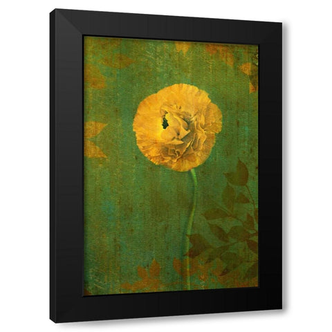 Yellow Renunculus Black Modern Wood Framed Art Print with Double Matting by Geyman, Vitaly