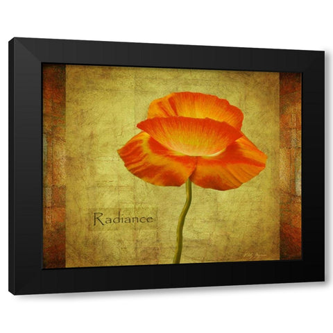Dancing Poppy Radiance Black Modern Wood Framed Art Print with Double Matting by Geyman, Vitaly