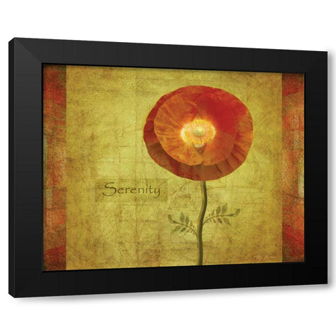 Poppy Serenity Black Modern Wood Framed Art Print with Double Matting by Geyman, Vitaly