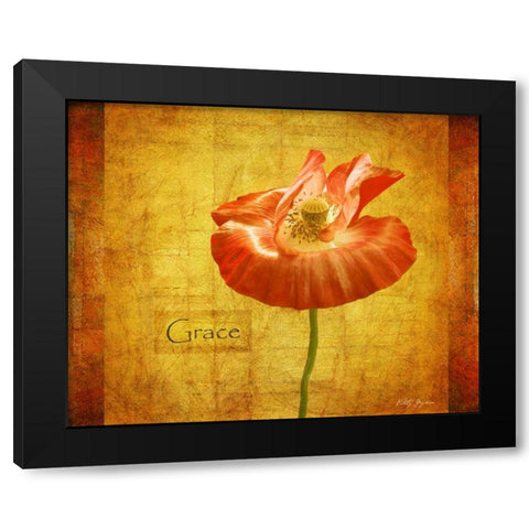 Velvet Poppy Grace Black Modern Wood Framed Art Print with Double Matting by Geyman, Vitaly