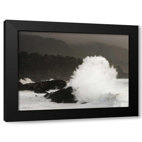 Sea Fan Black Modern Wood Framed Art Print with Double Matting by Geyman, Vitaly