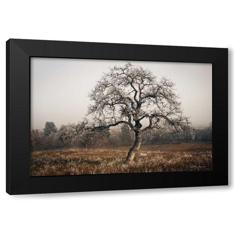 Frosty Tree Black Modern Wood Framed Art Print with Double Matting by Geyman, Vitaly