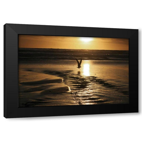 Sunset Bird Black Modern Wood Framed Art Print with Double Matting by Geyman, Vitaly