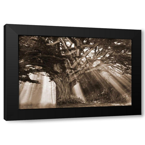 Moses Tree Black Modern Wood Framed Art Print by Geyman, Vitaly