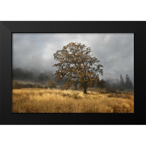 Field of Gold Black Modern Wood Framed Art Print by Geyman, Vitaly