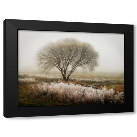 Tranquility I Black Modern Wood Framed Art Print by Geyman, Vitaly