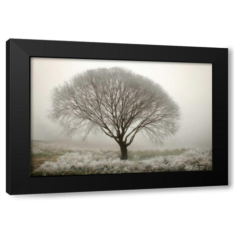 Tranquility II Black Modern Wood Framed Art Print with Double Matting by Geyman, Vitaly
