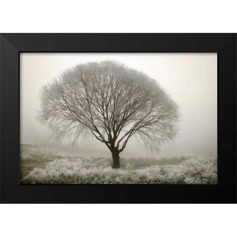 Tranquility II Black Modern Wood Framed Art Print by Geyman, Vitaly