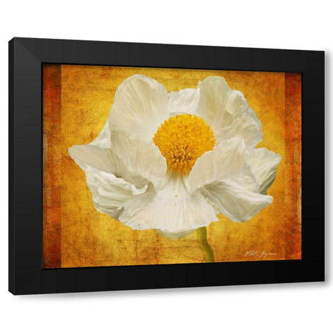 Poppy in Gold Black Modern Wood Framed Art Print by Geyman, Vitaly