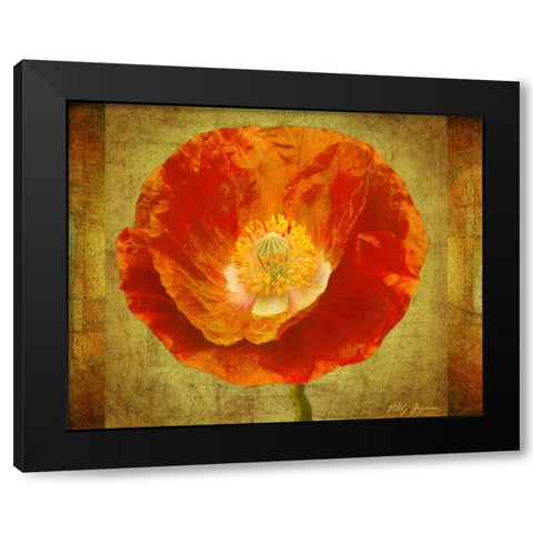 Sun Poppy I Black Modern Wood Framed Art Print by Geyman, Vitaly