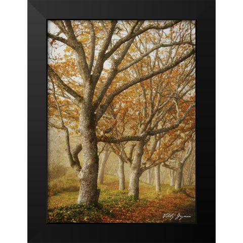 In the Mist I Black Modern Wood Framed Art Print by Geyman, Vitaly