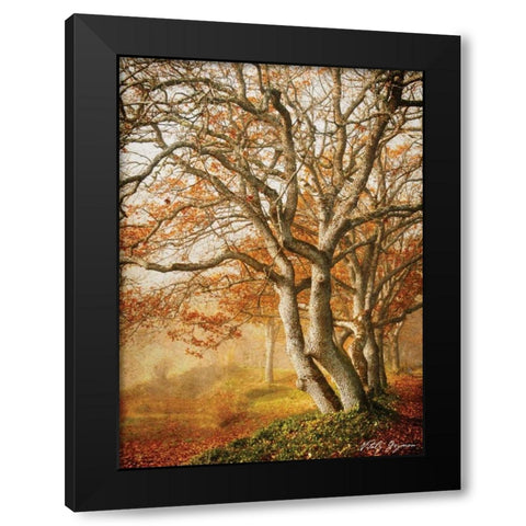 In the Mist II Black Modern Wood Framed Art Print with Double Matting by Geyman, Vitaly