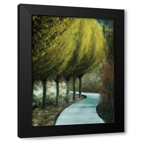 Evening Glow I Black Modern Wood Framed Art Print with Double Matting by Geyman, Vitaly